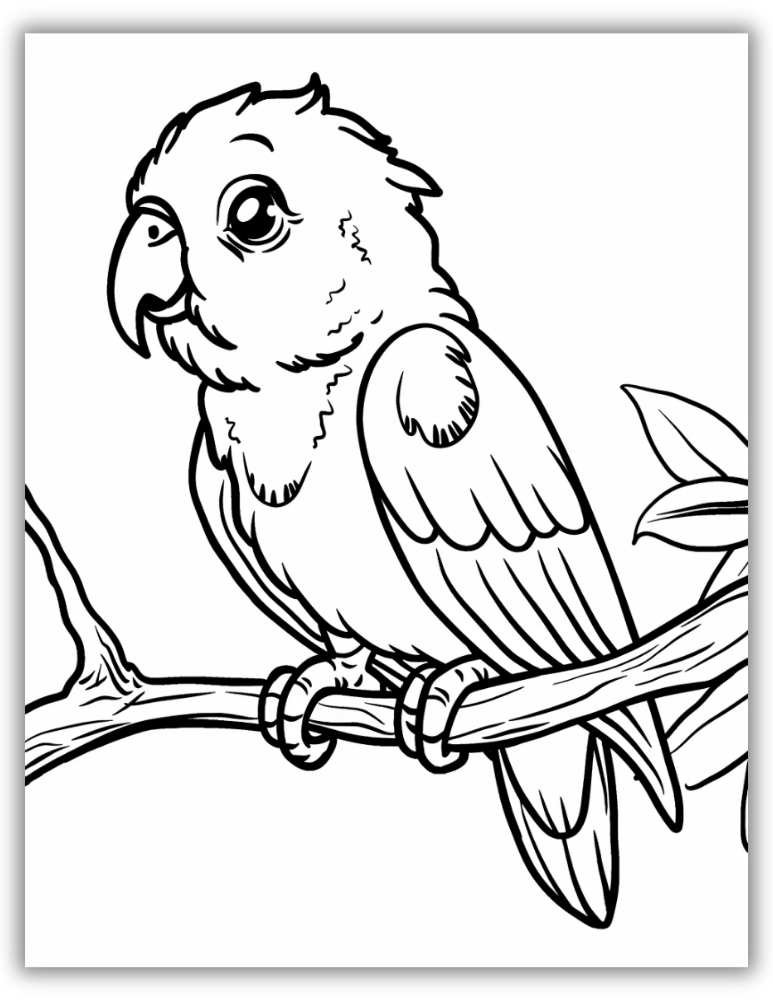 Cute parrot coloring page for children
